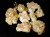 OLIBANUM Frankincense.jpg