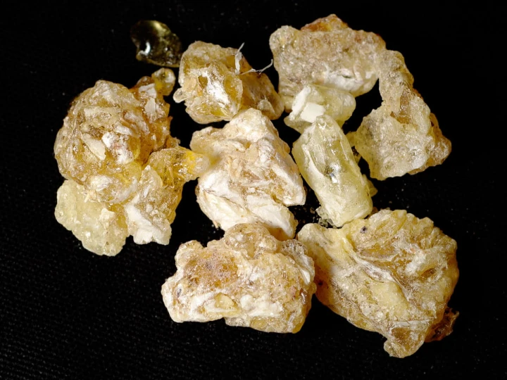 OLIBANUM Frankincense.jpg