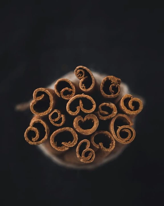 CYNAMON Cinnamon1.jpg