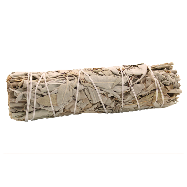 BIAŁA SZAŁWIA - Naturalne kadzidło w pęczku - White Sage - 10 cm