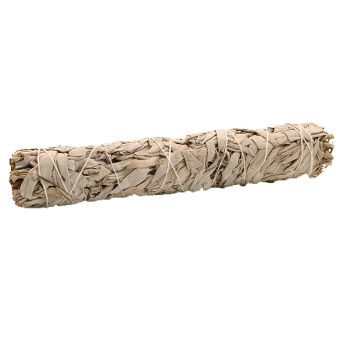 SZAŁWIA BIAŁA White Sage AW 22,5cm.png