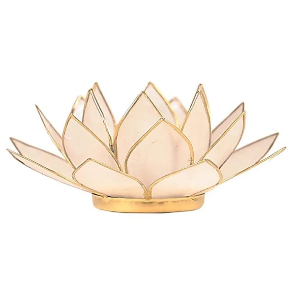 Świecznik tealight Muszla Capiz Kwiat Lotosu naturalne złoto 13,5 cm