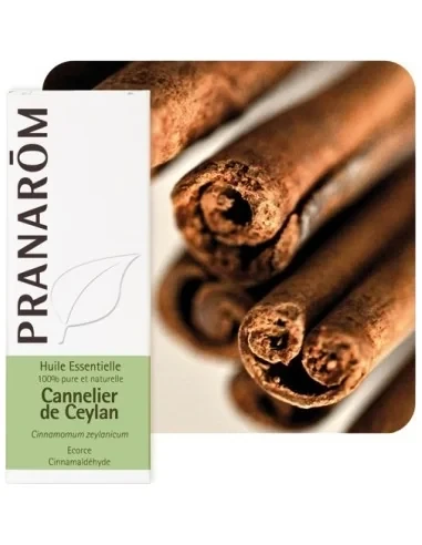 olejek-eteryczny-cynamonowy-cynamonowiec-cejlonski-cinnamomum-zeylanicum-5mlpranarom.webp