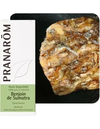 Olejek eteryczny / balsam styraksowy **Styrax / Styrax benzoe** 10ml*PRANARÔM*