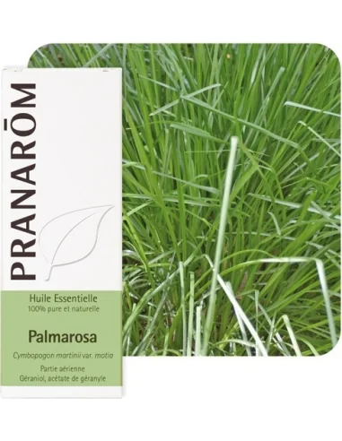 Olejek eteryczny **Palmaroza / Palmarosa / Palczatka imbirowa / Cymbopogon martini var. motial** 10ml*PRANARÔM*BIO