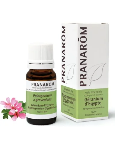olejek-eteryczny-geraniowy-geranium-egipskie-pelgaronium-x-asperum-10mlpranarom.webp
