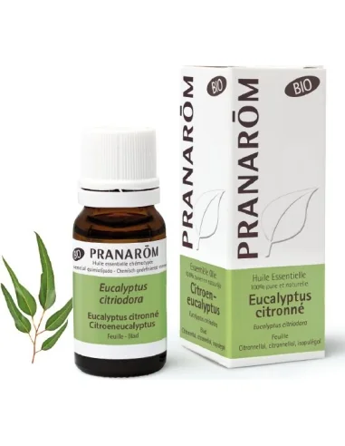 Olejek eteryczny eukaliptusowy Eukaliptus cytrynowy / Eucalyptus citriodora 10ml PRANARÔM BIO