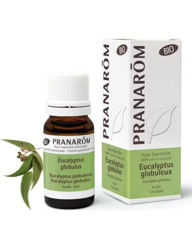 olejek-eteryczny-eukaliptusowy-eukaliptus-galkowy-eucalyptus-globulus-10mlpranarombio.webp
