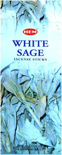 SAGW726_1_.jpg