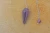 1741848676.jpg.webp