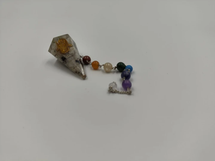 IMG_20250307_131356.jpg