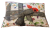 1743089297838(1).png