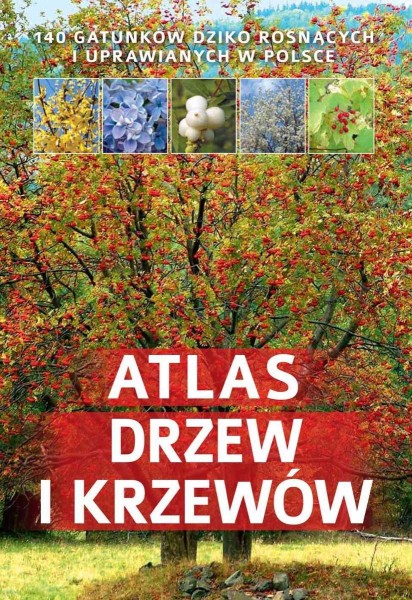 Atlas drzew i krzewów Aleksandra Halarewicz