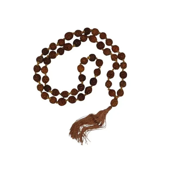 Mala Rudraksha 54 koraliki