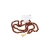 xc_7434626239255.webp