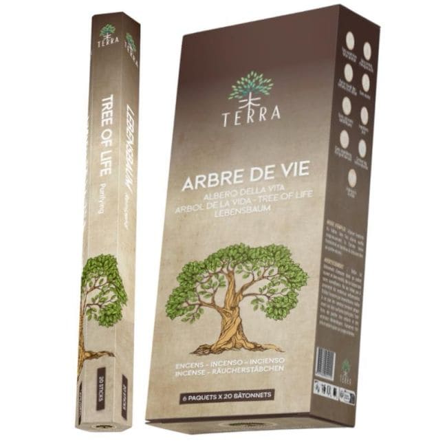 ter20-tree-1707764870.jpg