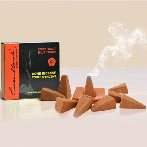 ea27-a13-opium-flower-00-min-16802762526426fb1c86e81.jpg