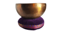 fiolet11-1.png